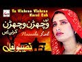 Tu Vichran Vichran Karni Best Of Naseebo Lal HI TECH MUSIC