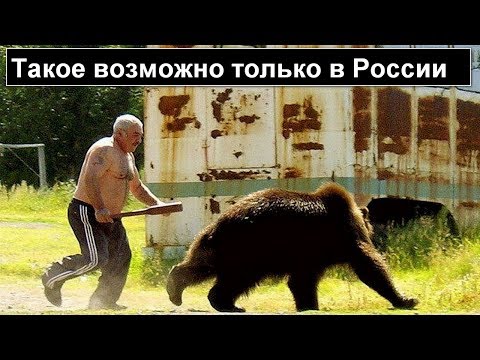 Русский мужик против медведя! Такое возможно только в России!