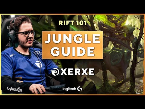 Play Jungle Like A PRO | A Professional Jungle Guide