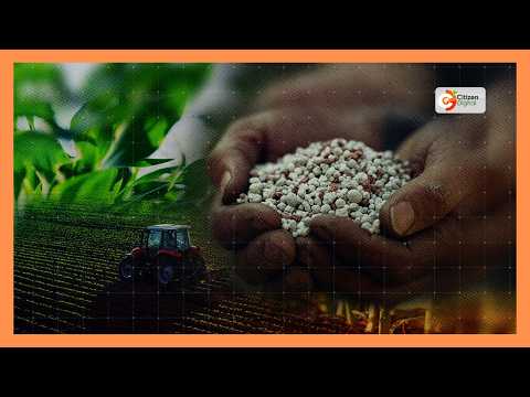 Serikali ya kaunti ya Migori yazindua mpango wa mbegu kwa wakulima 5,000