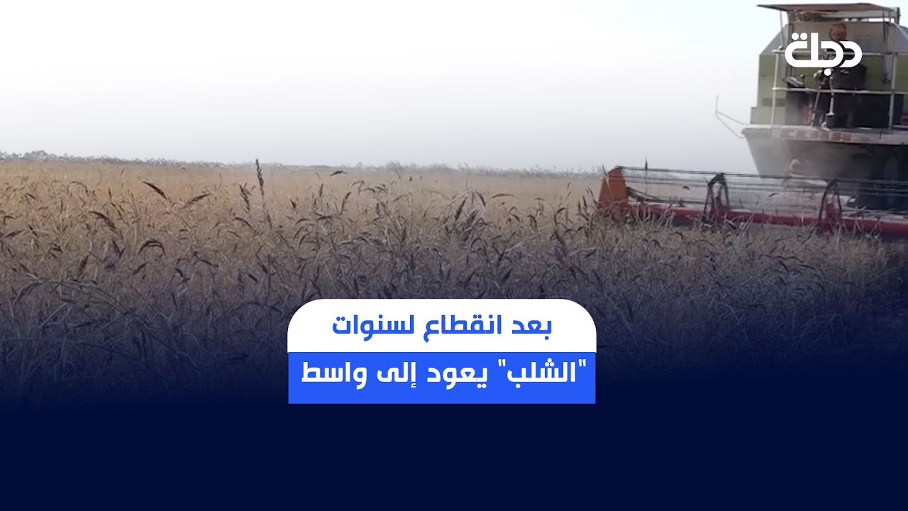 فيديو | بعد انقطاع لسنوات.. "الشلب" يعود إلى واسط.