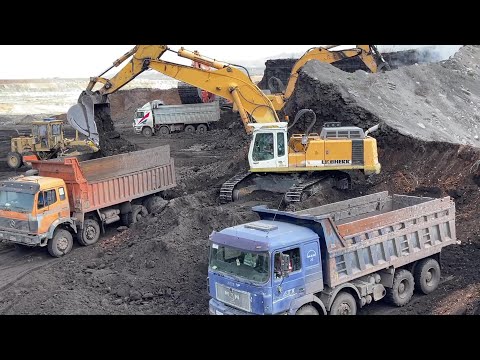 Three Liebherr And Hitachi Excavators Loading Mercedes & MAN Trucks - Ascon Ltd