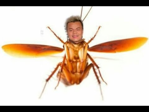 Me clowning JYP on A2K for 14 minutes and 33 seconds straight...