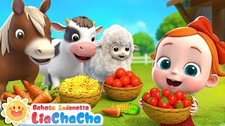 Download lagu Baby Memberi Makan Hewan | Waktu Makan Hewan Kecil | Lagu Anak-anak | LiaChaCha Bahasa Indonesia mp3 Download lagu Baby Memberi Makan Hewan | Waktu Makan Hewan Kecil | Lagu Anak-anak | LiaChaCha Bahasa Indonesia mp3