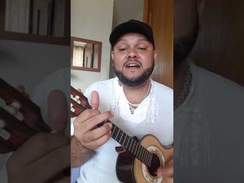 Motivos - Fundo de Quintal