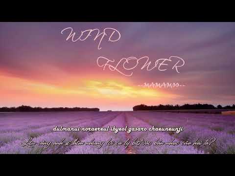 [ Vietsub ☁ Kara ] Wind flower - Mamamoo (마마무)