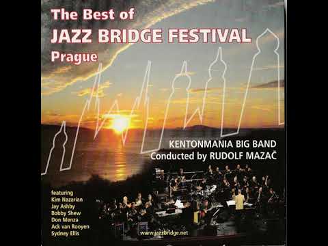 18. WALKIN TIP TOE (2010) - Bert Joris