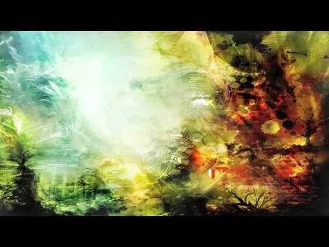 Dj Hammond - The Spring is my love