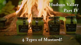 Download lagu Mustard Expert describes 4 Different Types of Mustard from Maille! mp3