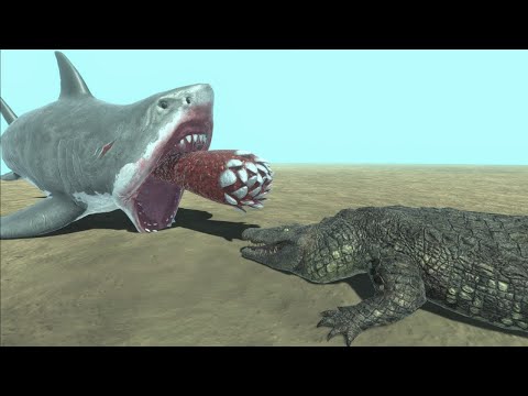 Megalodon vs purussaurus - Animal Revolt Battle Simulator