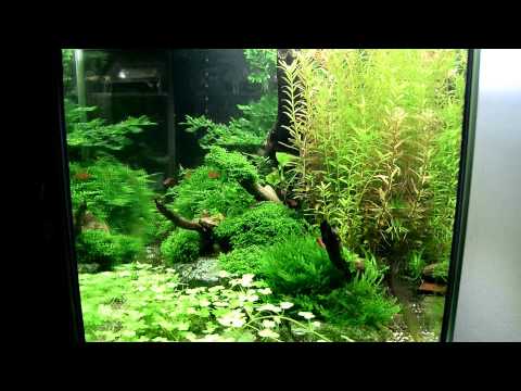 Watch Video on YouTube