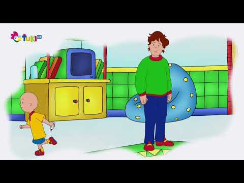Volám sa Caillou - Požičaná kniha, pokazený pan kostrička, Kajo vajo