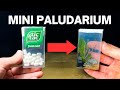 Turning A Tic Tac Box Into A Mini Paludarium