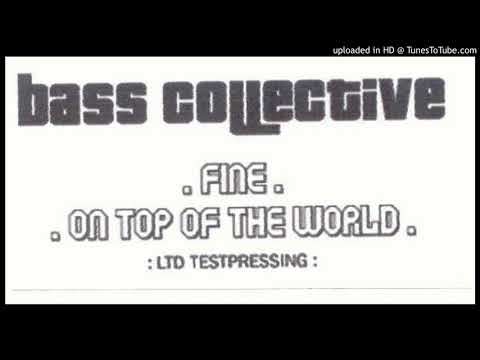 Bass Collective - Fine (Bassline House)