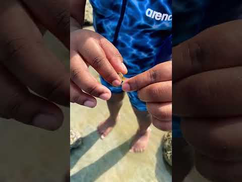 Fun beach activities 🌈