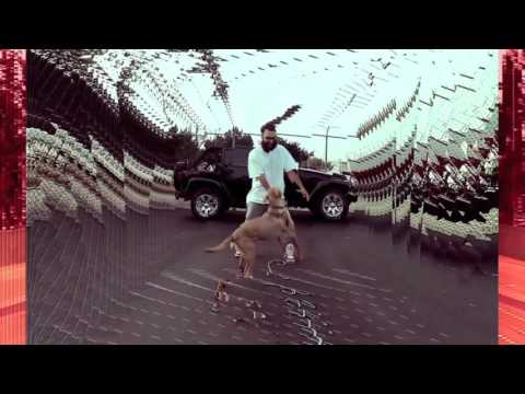 KOOL A.D.  -  SANTERIA (PROD. TORO Y MOI)