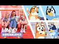 5 Amazing Bluey Dances IRL Bluey Dancealongs 🪩 Bluey