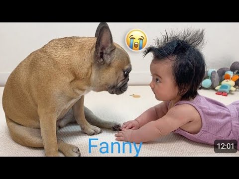 Best Fanny Video 2023😁🤣😃Try Not To Laugh Funny Videos2023😁😁😁