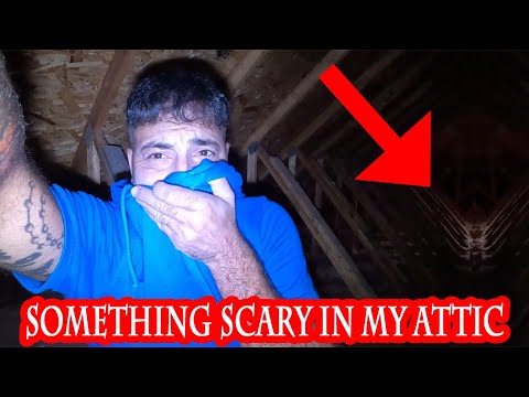 THERE IS SOMETHING TERRIFYING IN MY HAUNTED ATTIC