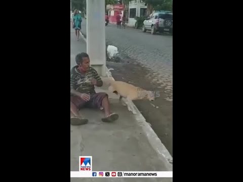 ഒരു അണ്‍കണ്ടീഷണല്‍ ലൗ..! #UnconditionalLove #SocialMedia #DigitalTrends #Viral #ManoramaNews