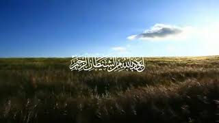 Download lagu Surah Asy-Syams mp3