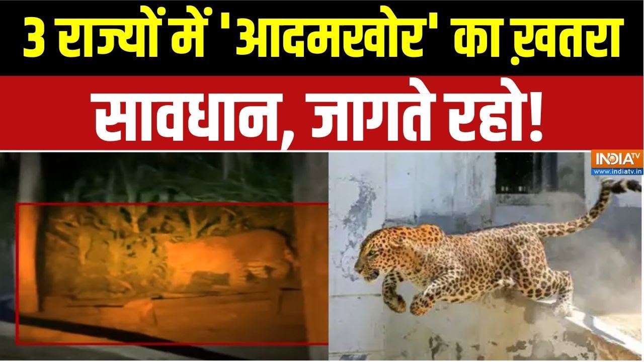 Pune Leopard Attack : AI कैमरा, सायरन, पिंजरा, क्या आज रात फंसेगा तेंद