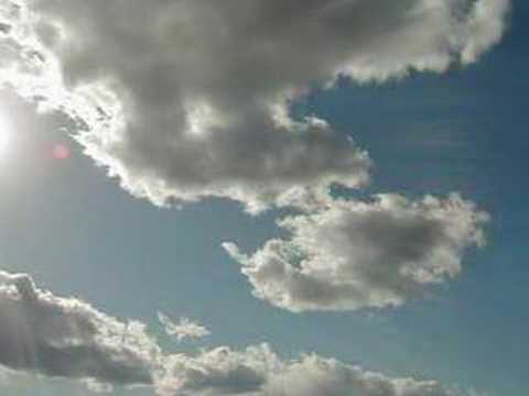 Mlađak i palma - Šerif DELIĆ