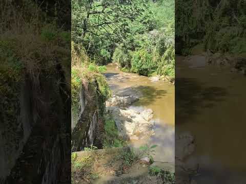 Puente de la bruja sobre el río buey en Abejorral Antioquia