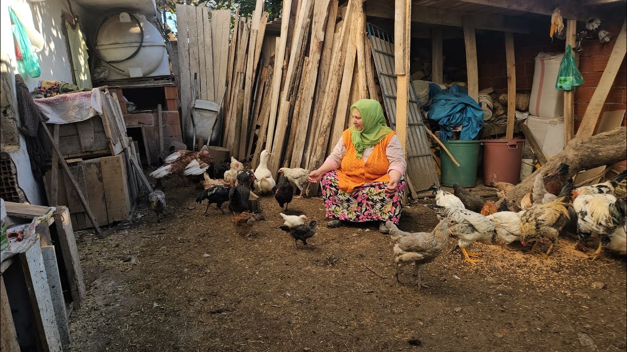 ‼️ÇOK ÜZGÜNÜM MÜJGANIMIN BAŞINA NE GELDİ 😔