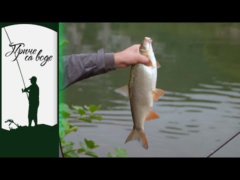 Priče sa vode ep. 162 08.11.2022. Skobalj u podne, Drina u Višegradu