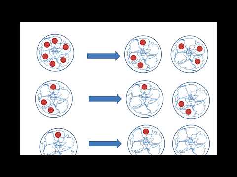 Fasten Teil 5 - Kann Fasten Krebs bekämpfen?