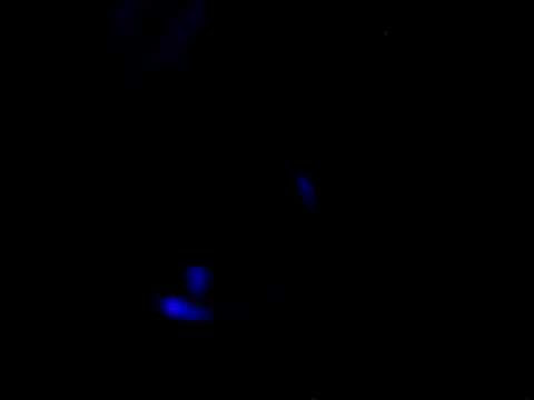 Craig Richards at Fabric