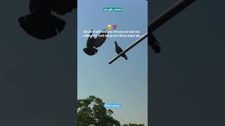 Download lagu खोटं बोलणे आणि खोटी शप्पत घेणे 🥺 | Sad WhatsApp Status 😔 | #sadstatus #sad #shorts #youtubeshorts mp3