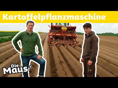 Wie pflanzt man Kartoffeln? | DieMaus | WDR