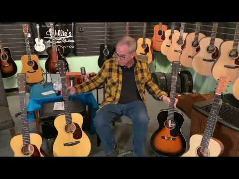 Small-bodied Martins