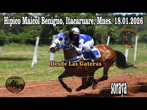 SORAYA - HIPICO MAICOL BENIGNO. ITACARUARE, MISIONES.