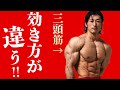 押さえておきたい三頭筋トレのポイント!【腕トレ】