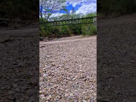 SAUCE LEÓN NICARAGUA #parati #viral