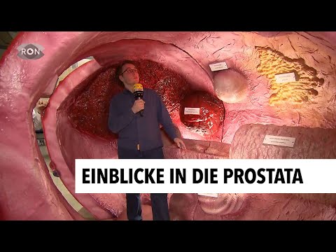 Prostatitis a férfiakban a szóda