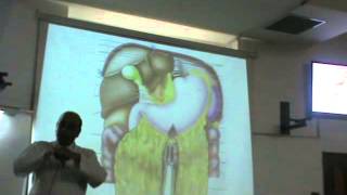 Dr Sherif Fahmy Da3m Abdomen 14 (Bile duct, gall bladder & spleen)