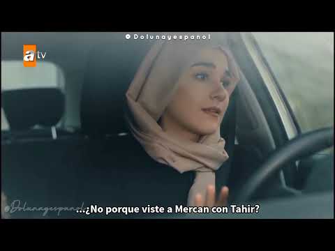 Nefes celosa | SAK 8