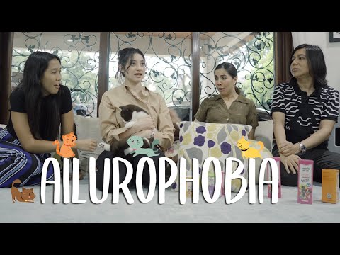 Jom kenal - kenal dgn kucing LMK!! - Medicpets