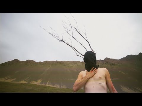 Gustave Tiger - New Light Of Myanmar