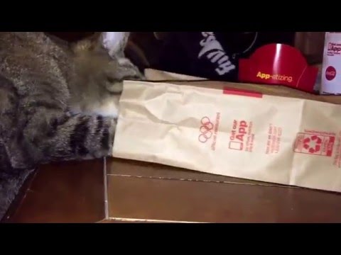 Rayna stealing a French fry!