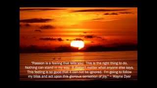 Incite Social Evolution