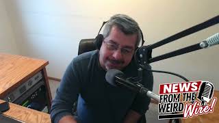 Paskvan Podcasts: 50 Sheep Raid a Grocery Store and a Kitten Gets Rescued From a Bridge.