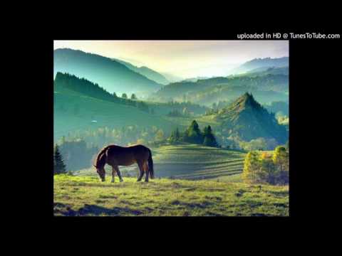 Jodya Jagaq (featuring DJ Bronco) - Peaceful Meadow