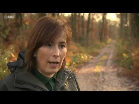 BBC Look North (Yorkshire) Lunchtime News 4th January 2019 with Ian White