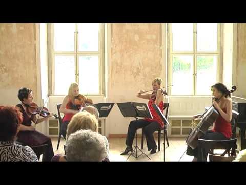 Allegra Quartet koncertje a Fáy-kastély galériában.