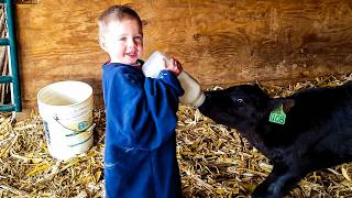 Who's Cuter? Animals or Kids 😍 | Battle of Cuteness